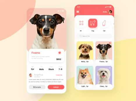 宠物商城APP开发前景：潜力无限的新兴领域